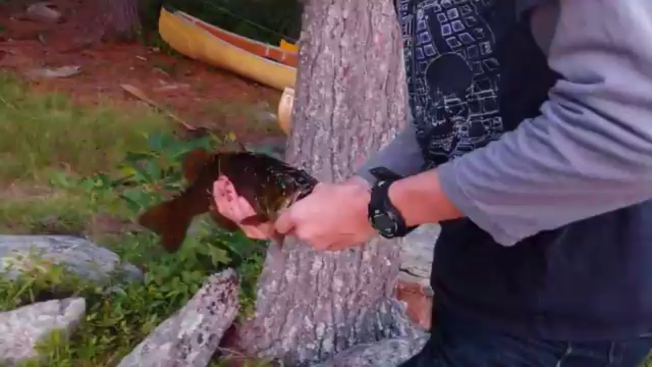 A Great Fishing Experience at Opalescent Lake close to Barron Canyon  (CSB Canoe Trip 2017 - Part 2)