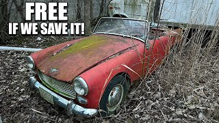 Free Abandoned Car: Austin Healey Sprite First Wash in 31 Years! Satisfying Detail Restoration