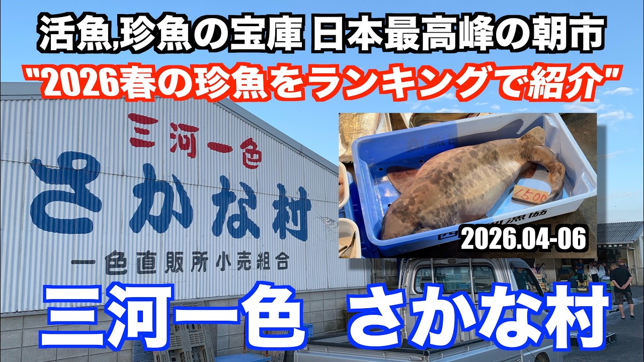 三河 一色 さかな 村