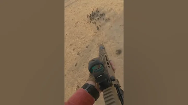 Large mob of feral pigs in the dust. #aerialshooting #conservation #culling