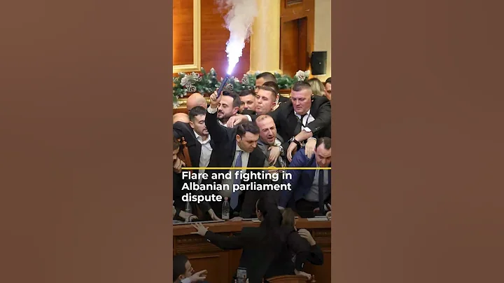 Flare and fighting in Albanian parliament dispute | #ajshorts