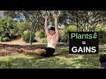 Vegetarian Eating for Fitness