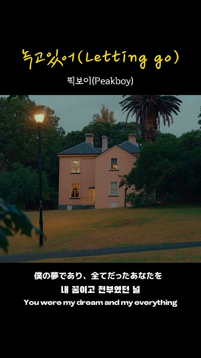【和訳・英訳】눅고있어(Letting go) / 픽보이(Peakboy) #peakboy #픽보이