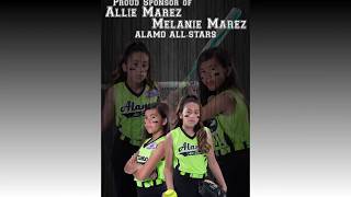 Softball  Sponsor Poster