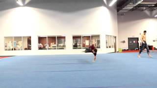 unfinished tricking sampler