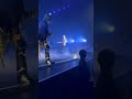 Yungblud concert #livemusic #yungblud #yungbludarmy #music