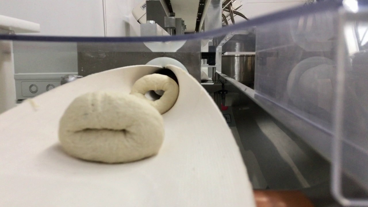What Is A Bagel Machine IUCN Water what-is-a-bagel-machine-iucn-water