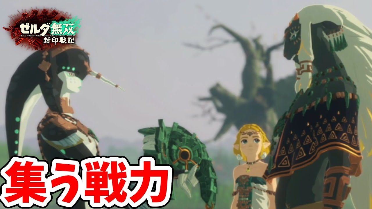 [ゼルダ無双封印戦記#11]  仲間集め開始