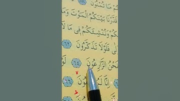سورة الواقعة الأية 61 إلى 69 القارئ سعد الغامدي