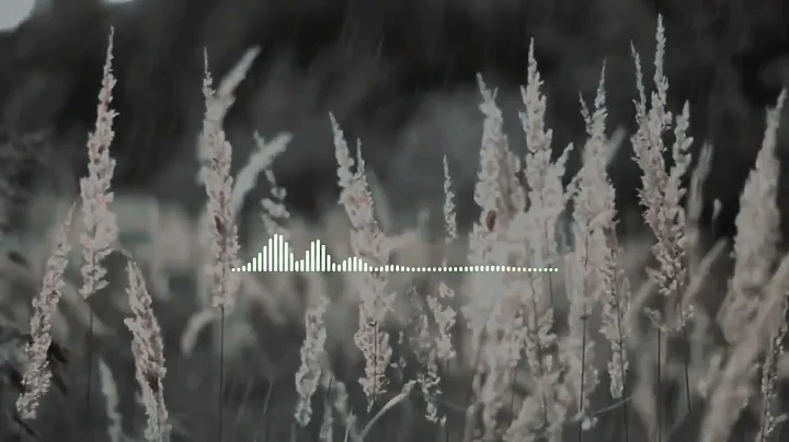 21 BEST “I AM” Affirmations to SHIFT into the 2.0 YOU - TRY FOR 21 DAYS