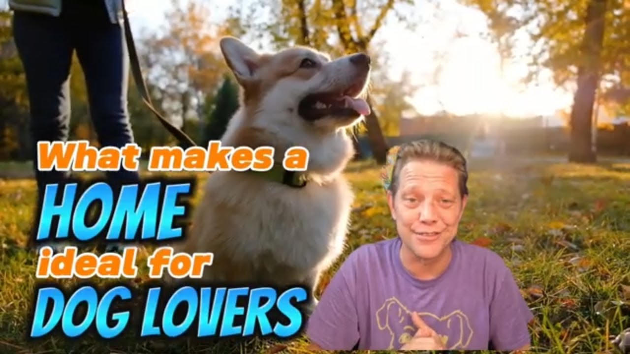 What make a home perfect for dog lovers?