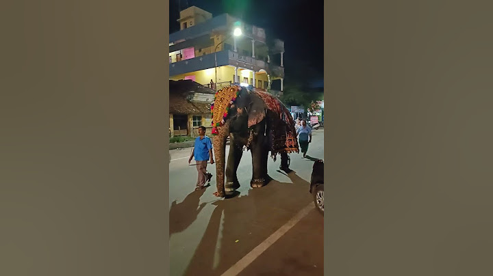 Thirunallar Kovil Elephant 😍 #thirunallar #elephant #god #happy #love