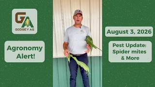 Agronomy Alert 8/3/26