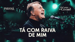 Are You Angry With Me - Paraná | The Canary's Song (Official Music Video)