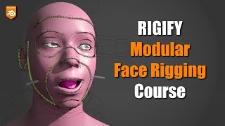 [New] Modular Face Rigging with Rigify