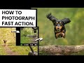 How To Photograph Running Dogs | Action Photography Tips + Behind The Scenes