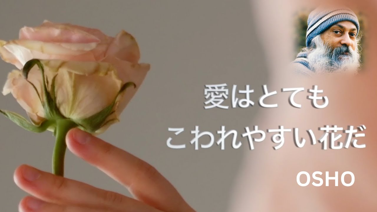 愛はとてもこわれやすい花だ | OSHO JAPNAESE AUDIO | 日本語 | OSHO JAPAN