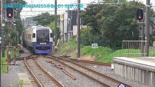 総武本線特急しおさい号255系同士の列車交換