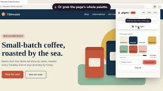 Pigmo: color picker and website palette grabber for Chrome (41 s tour)