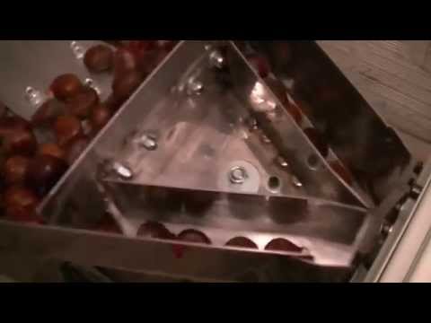 Macchina automatica per