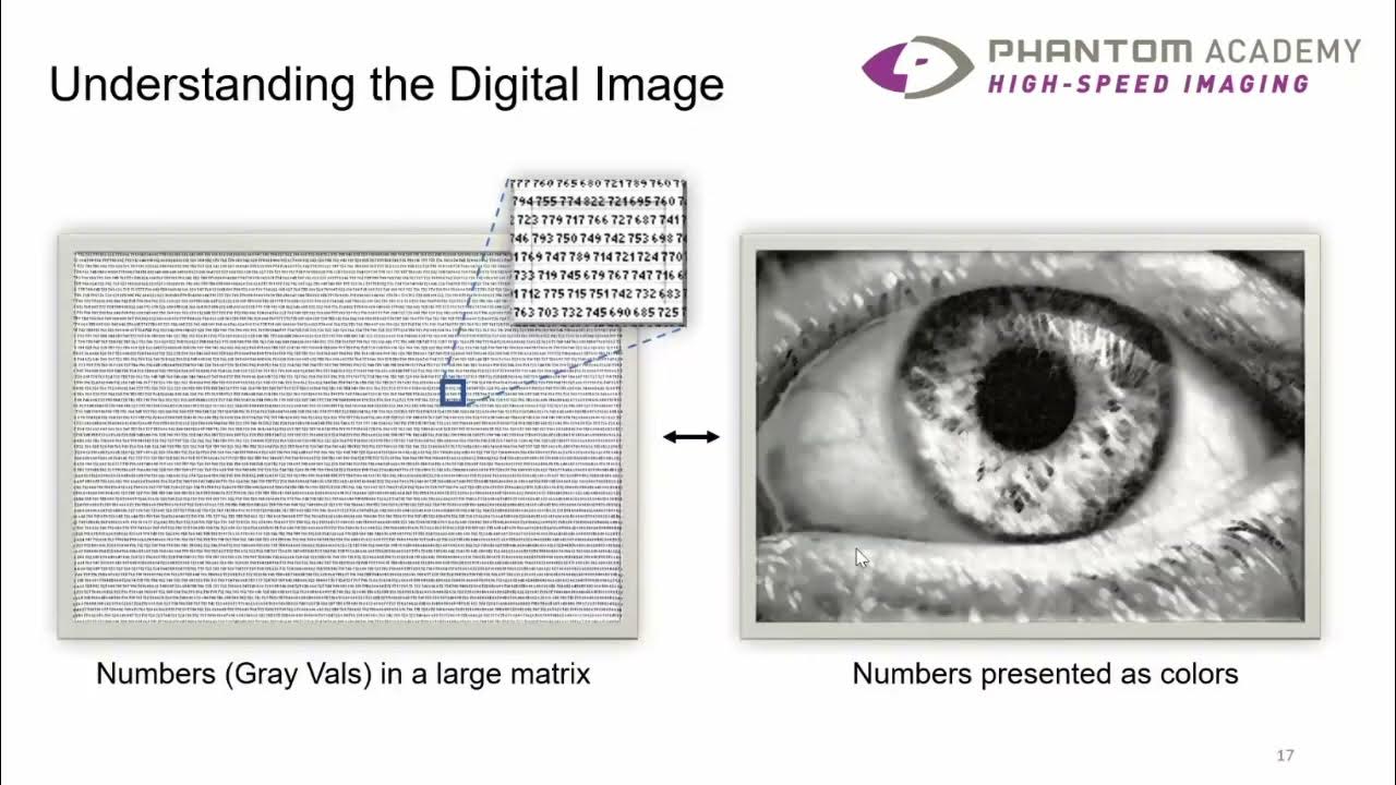 Python for Image Processing & Analysis Webinar - YouTube