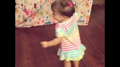 Video do Samba editado