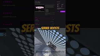 Best Discord Alternative!