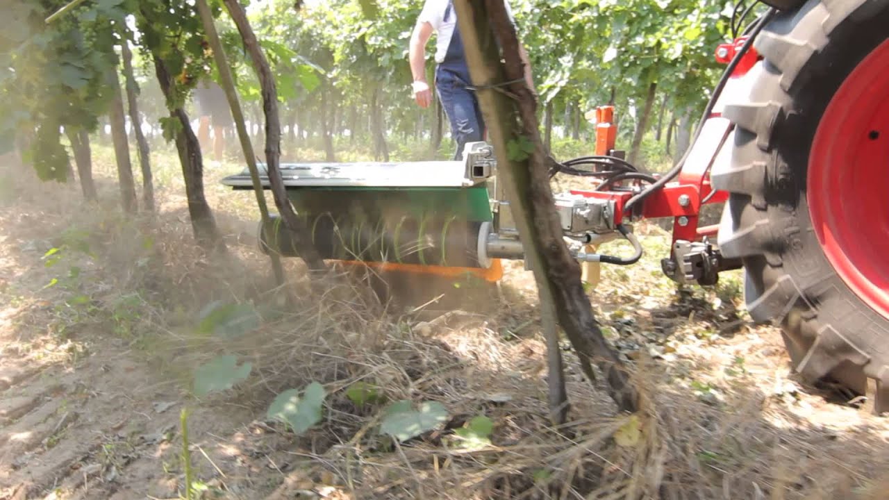 Battistotti tőköztisztító BIO ültetvényekbe