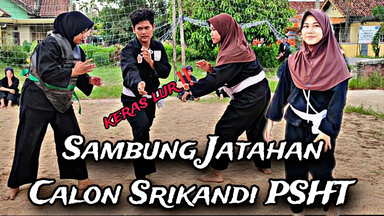 Sambung Jatahan Calon Srikandi PSHT‼️keras lor