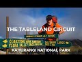 The tableland circuit  kahurangi national park