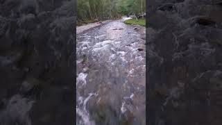 #nature#алтай