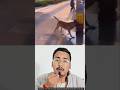 This dog proved he’s 100 times better than humans #shorts #viral #dog #animals