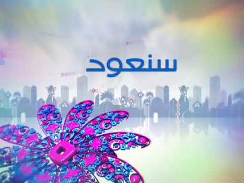 فواصل قناة الناس 2010