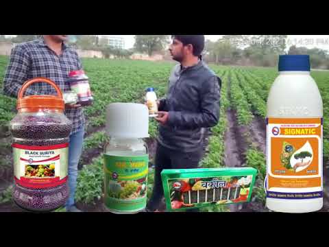 sikko - video from Sikko Industries