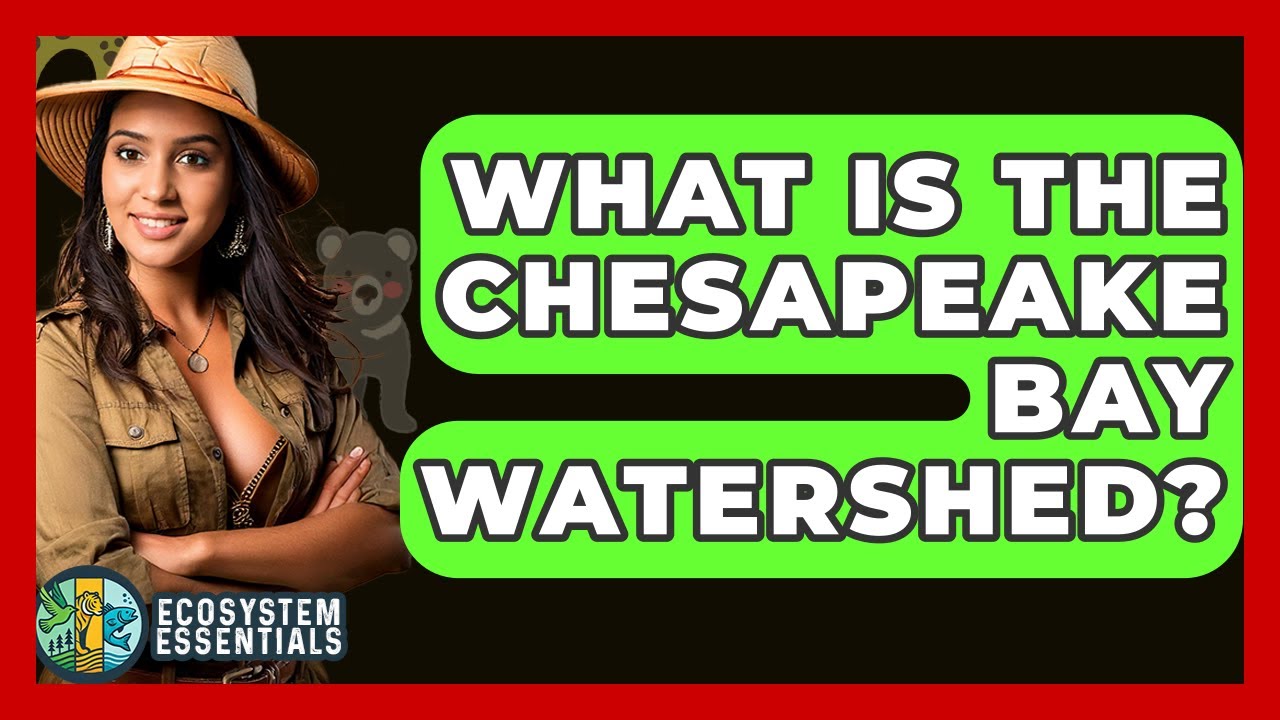 What Is The Chesapeake Bay Watershed? - Ecosystem Essentials