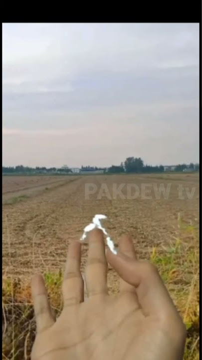 Sentilan Nikmat Pagi Hari || status wa #Shorts