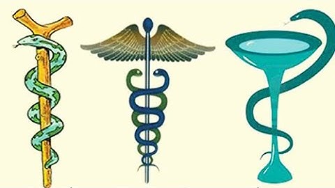 Vì sao biểu tượng của ngành Y lại là con rắn?