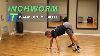 Inchworm Exercise - Warm-up and Mobility Series