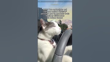 Ton mate et ses "actions décisives" ...