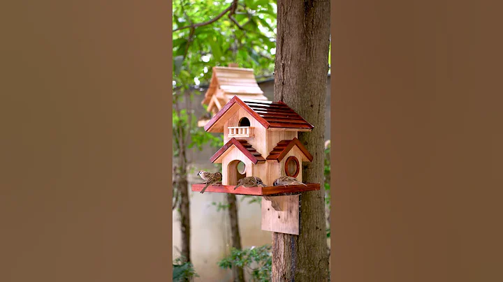 Soothing DIY Craft: Build a Beautiful Bird House & Feeder for Your Garden #shorts #RelaxingDIY