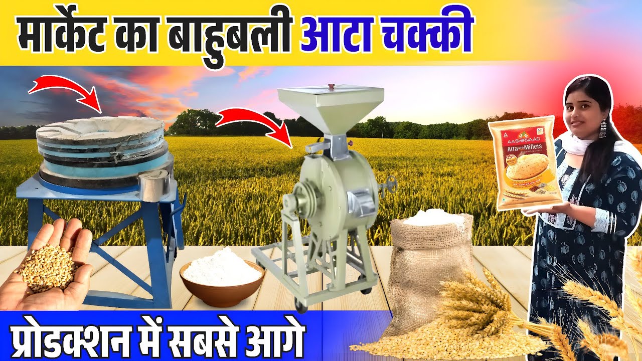 Atta Chakki Machine || Production का बादशाह || Small Scale Industry Business || Business Ideas