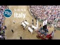 Siena, Italy: Palio Horse Race - Rick Steves’ Europe Travel Guide - Travel Bite