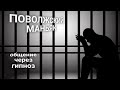 ЭНЕРГОИНФОРМАЦИОННЫЙ ГИПНОЗ. Поволжский душитель.