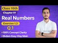 Class 10 Maths | Real Numbers | Exercise 1.2 Q1 Explained Clearly