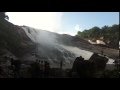 IMG 0446