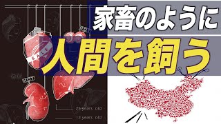 フォロワー多数の中国人法律研究者「臓器狩りは故意の殺人」