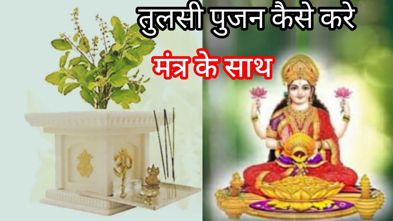 तुलसी पूजा की सही विधि: घर में आएगा पैसा! तुलसी पूजन कैसे करें? वीडियो जरूर देखें, 