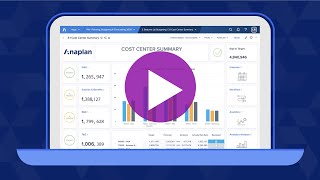 Anaplan UX screenshot 3