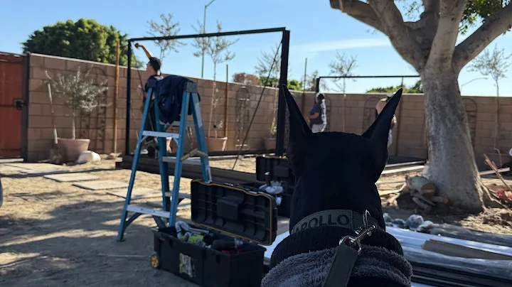 THE ROYAL VICTORIAN GREENHOUSE