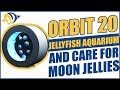 How to Set Up an Orbit 20 Jellyfish Aquarium and Care for Moon Jellies